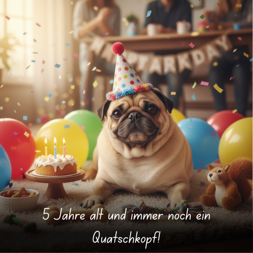 5 Jahre alt und immer noch ein Quatschkopf!