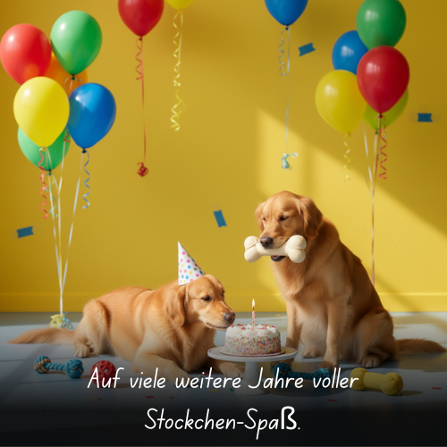 Auf viele weitere Jahre voller Stöckchen-Spaß