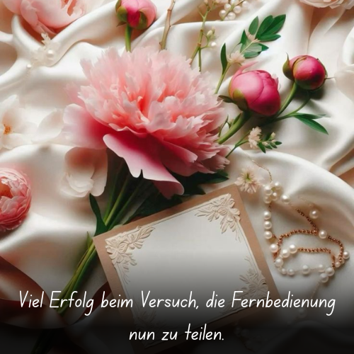 Viel Erfolg beim Versuch, die Fernbedienung nun zu teilen