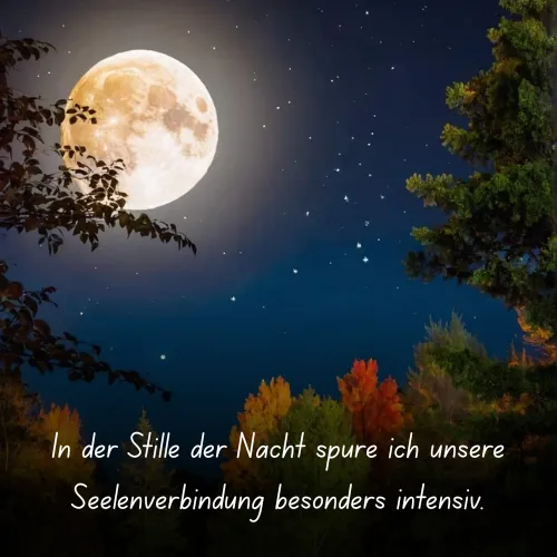 In the stillness of the night, I feel our soul connection particularly intensely.